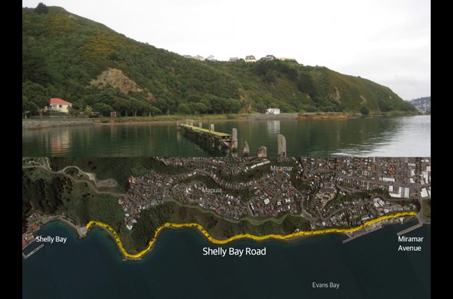 Share your views on upgrading Shelly Bay Road