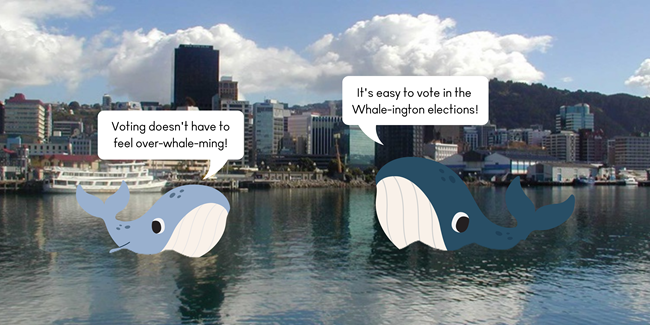 Two animated whales in Wellington Harbour.