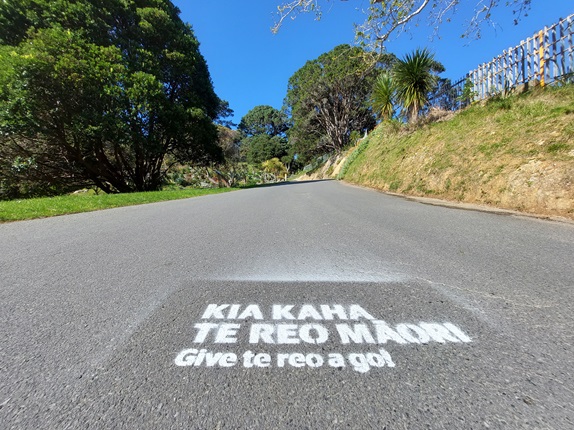 Chalk stencil on path at Botanic Garden celebrating Māori Language Week.
