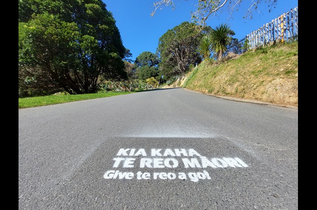 Ka rawe! It’s Te Wiki o te Reo Māori