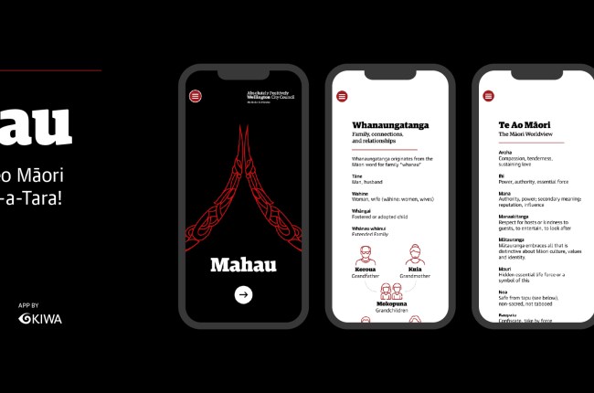 New te reo Māori app supports bilingual city goals