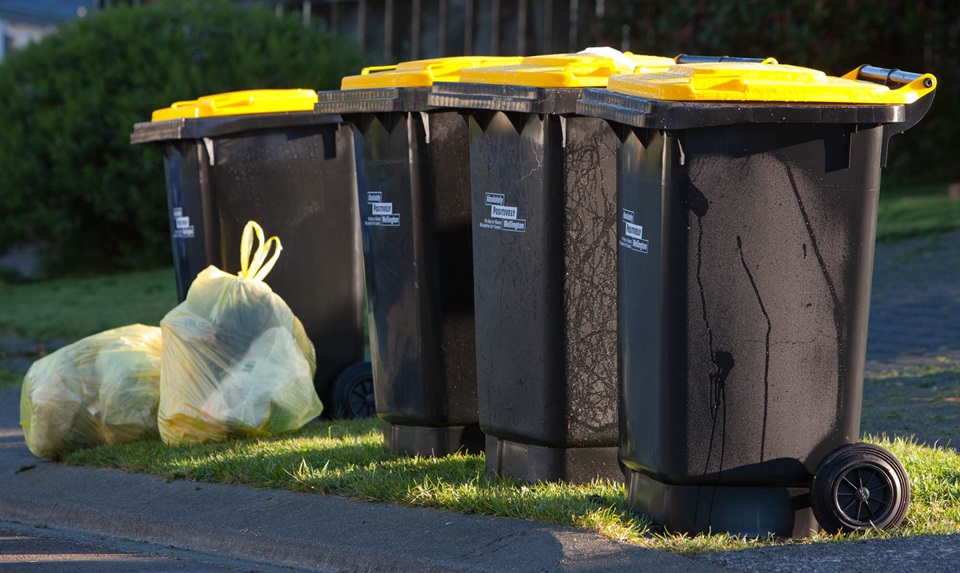 Council rubbish bags and wheelie recycling bins at the end of a private street in Karori. 