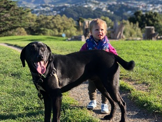 A dog and toddler.