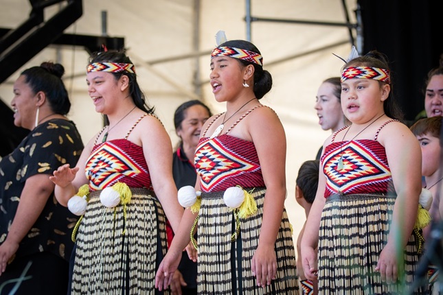 Performers from Waitangi Day.