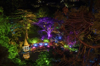 Botanic Gardens lit up for light show.