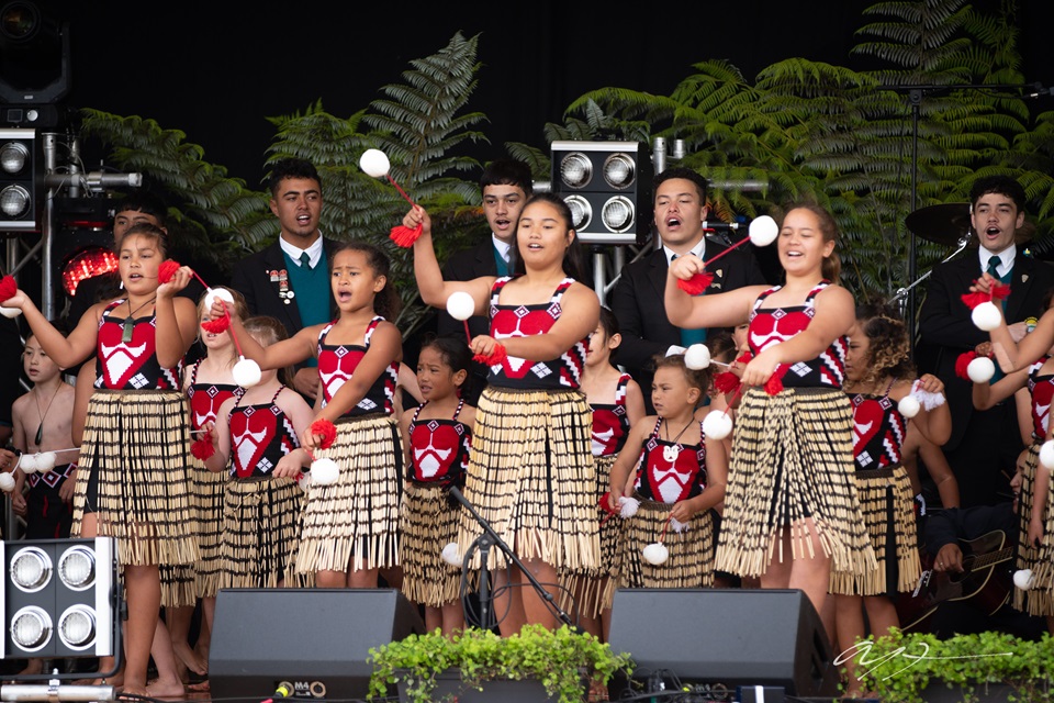Performers on stage at Waitangi Day event