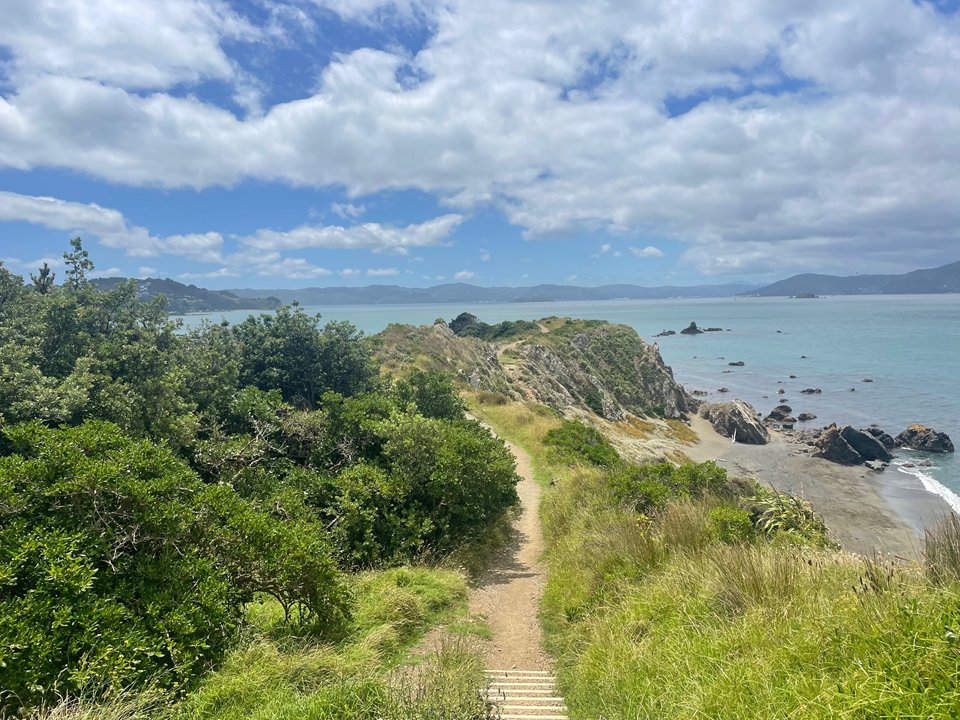Pathway and steps in Eastern suburbs with harbour and clouds in background.