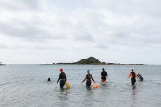 Six swimmers in the ocean diving in to head out towards an island on the horizon. The sky and sea are grey blue.