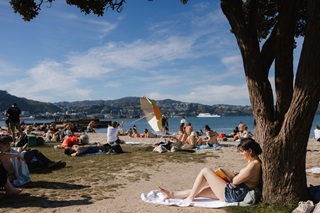 A young woman leans back against a tree reading a book on a sunny day at a busy beach.