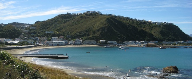 Panorama shot of Island Bay beach.