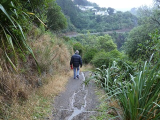 Person walking down a path in a gorge.