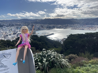 A barbie doll wearing a pink dress sitting on a ledge at a lookout over a city.