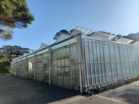 Row of glasshouses at the botanic gardens.
