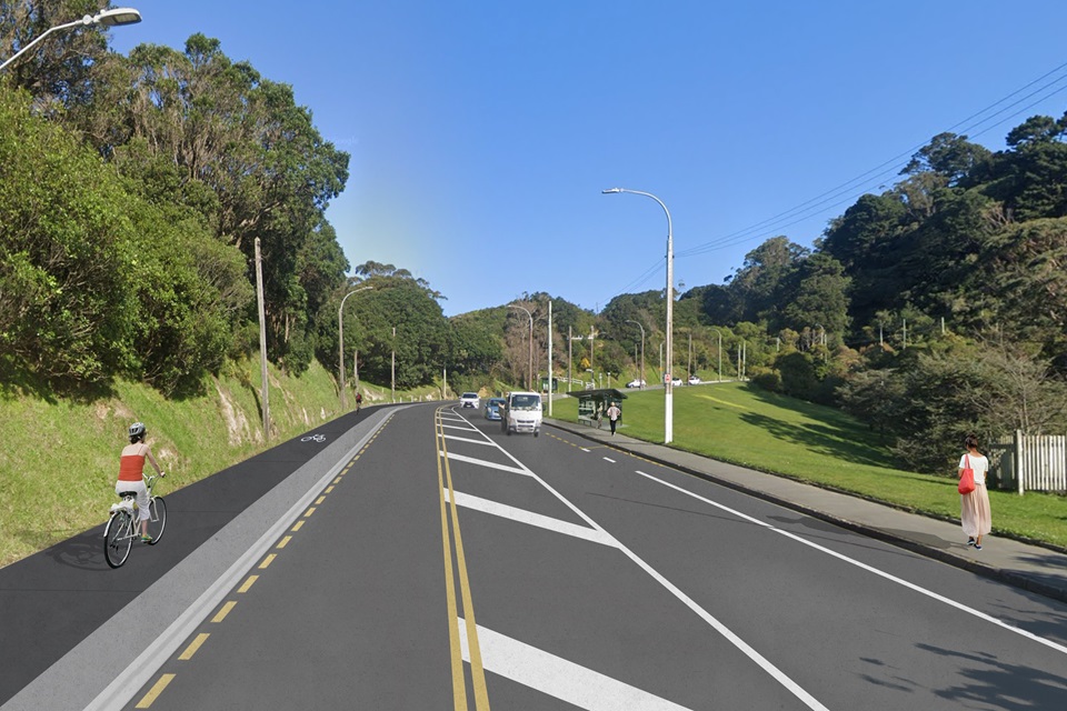 Artist impression of the new bike lane proposed for Brooklyn Hill.