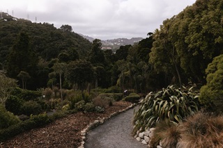 Pathway with trees and plants at Ōtari Wilton's bush.