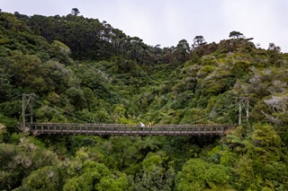 Bridge in Zealandia valley.