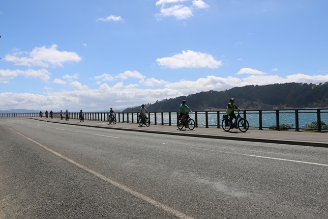 Line of cyclists riding around Evans Bay with Mapuia and harbour in the background