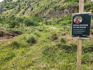 Sign on a hill with lizards on it.