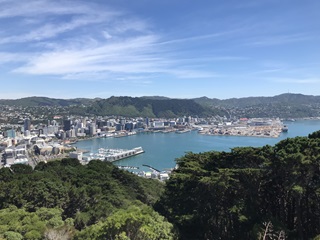 Panorama of Wellington from Mt Victoria lookout.