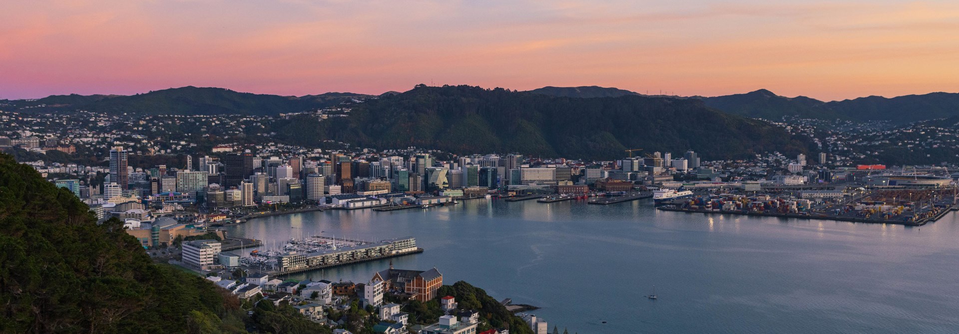 Mount Victoria View of Wellington Harbour.