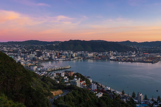 Mount Victoria View of Wellington Harbour.