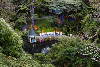 Duck pond at the gardens surrounded by trees.