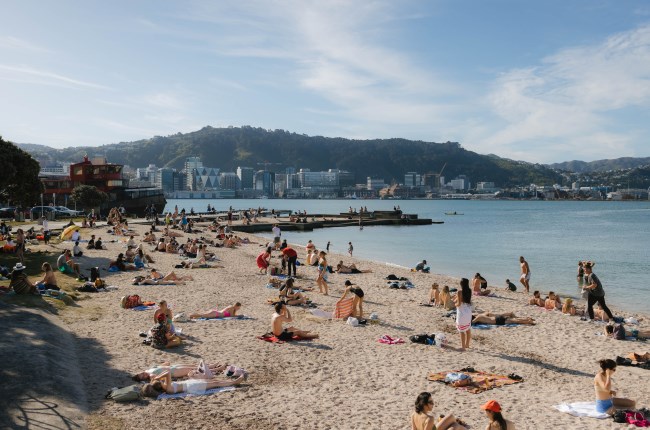 Fantastic beaches to visit in Wellington