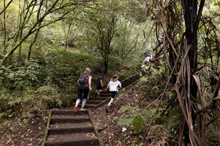 An adult woman and young children running up steps.