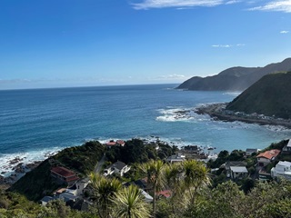 View over Oku Street Reserve.
