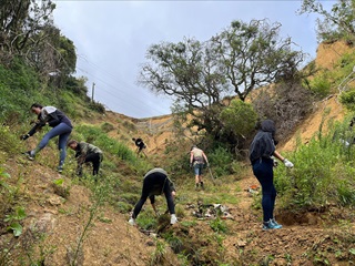 Group of people working on a hill.