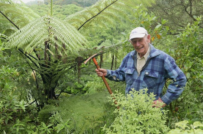 Celebrating volunteer efforts in Wellington city