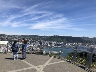 Central Wellington from Mt Victoria lookout.