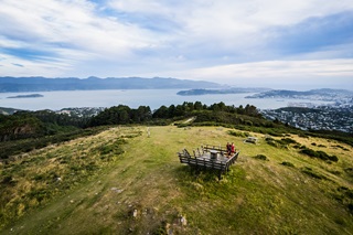 Skyline walkway on Mount Kaukau.