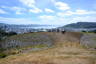 View from a water reservoir overlooking Wellington city