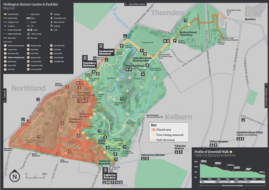 Redwoods get the chop – and the chopper - News and information ...