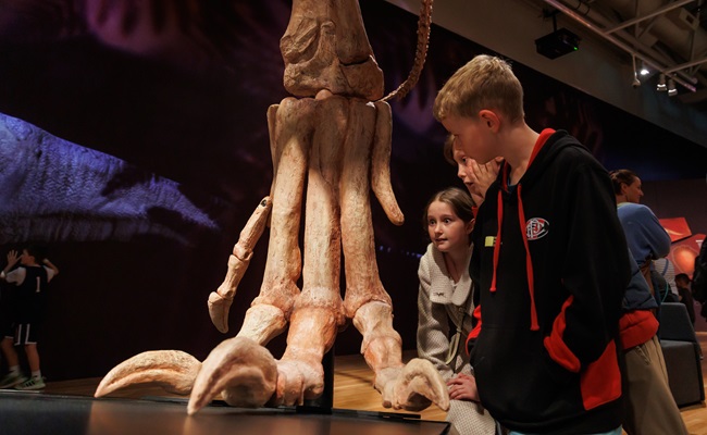 Children examine a large dinosaur foot in an exhibition at Te Papa.