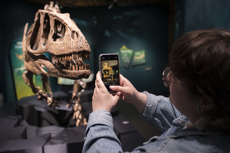 Person takes photo of ferocious looking dinosaur in an exhibition at Te Papa.