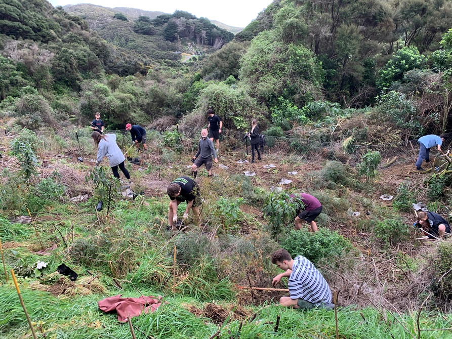 Volunteers in Makara Peak.