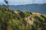 Person on a bike going down a hill on a bike with windmills in the background.