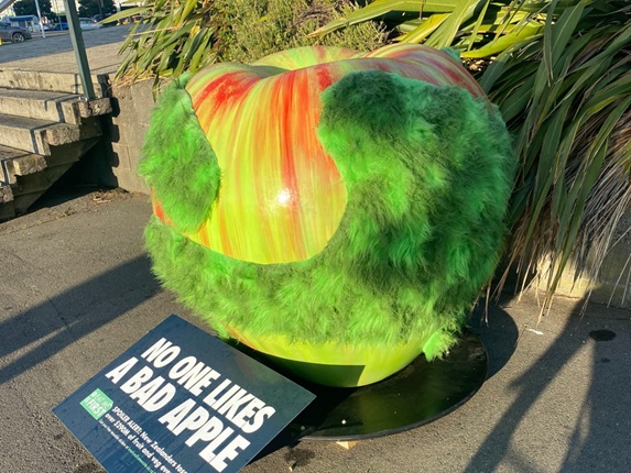 Apple on the waterfront with faux fur on it.