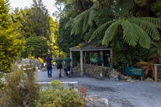 Three people walking through Otāri-Wilton's Bush with a map on the right-hand side.