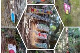 collage image of many fairy houses. 