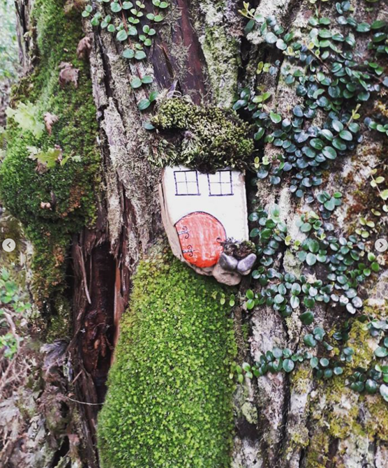 Image of a small fairy house on a tree. the fairy house has a red door. 