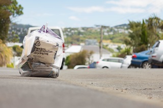 Recycling myths – busted! - News and information - Wellington City Council(07)