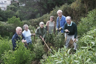 Image of Tressilick park volunteers amongst greenery.