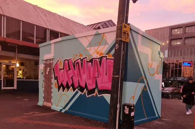 Zealous young artists paint new Te Aro mural