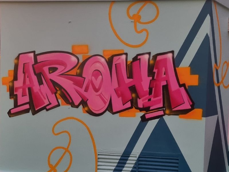 Close up image of the Te Aro Mural. Art reads