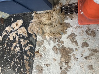 Clumps of a fatberg (congealed cooking oils, food waste, and other solids that have been tipped down the pipes instead of disposed of properly) spilt out onto a footpath with a roadcone in the background.