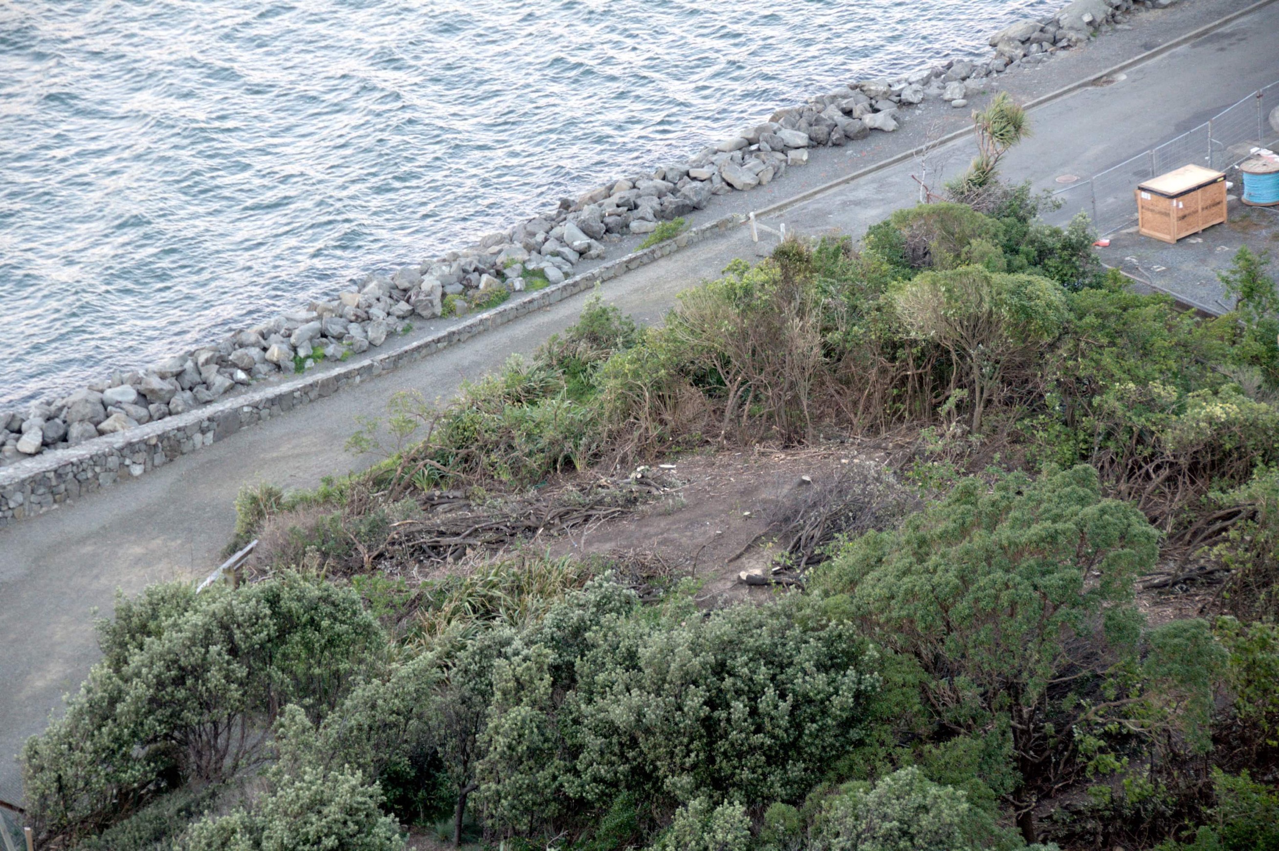 A birdseye view looking down on Greta Point, showing a water, a seawall and greenery with a patch in the middle. This is where the Karo was removed for the giraffes.