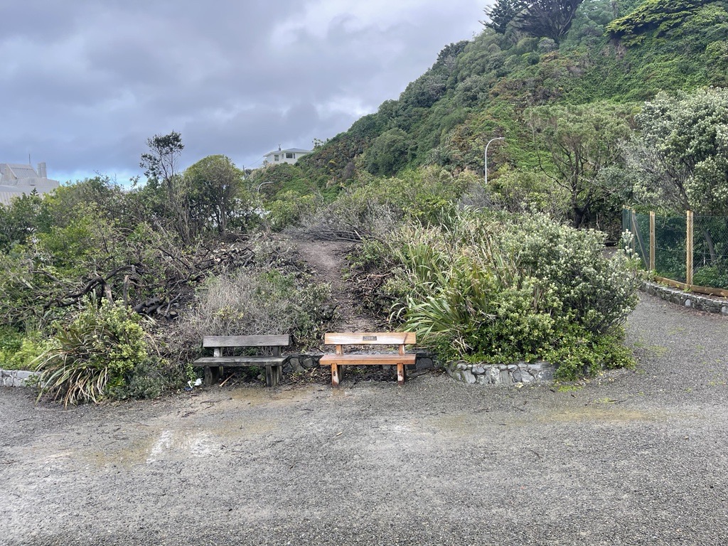 A gravel pathway infront of two commemorative chairs that are placed infront of a bank. There is a patch missing in the middle of the greenery which is where Karo and Browse has been removed.